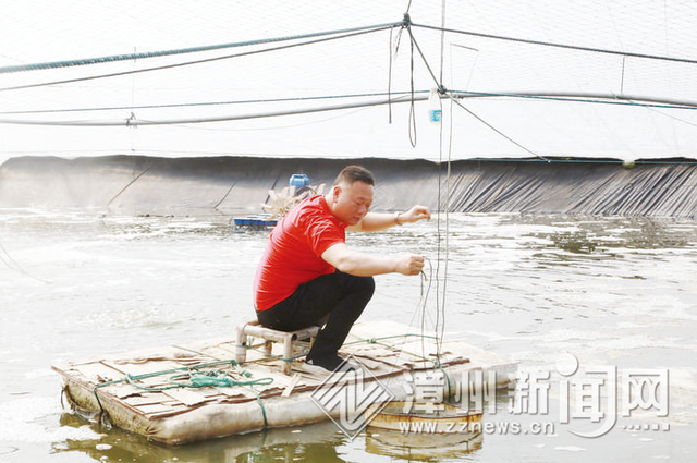 “中国河鲀第一村”漳浦东坂村乘风破浪奔小康——一条鱼，改变一个村