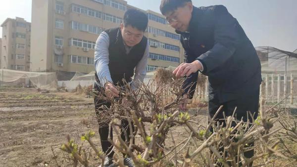 新乡有个“活财神”药农纷纷请上门