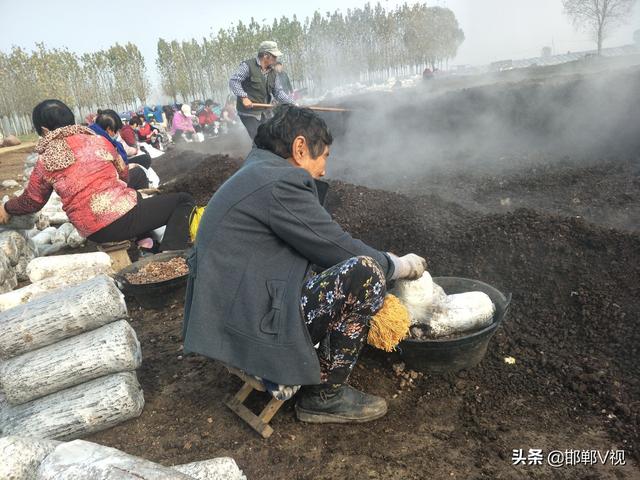 魏县打造乡村振兴产业园区“聚宝盆”