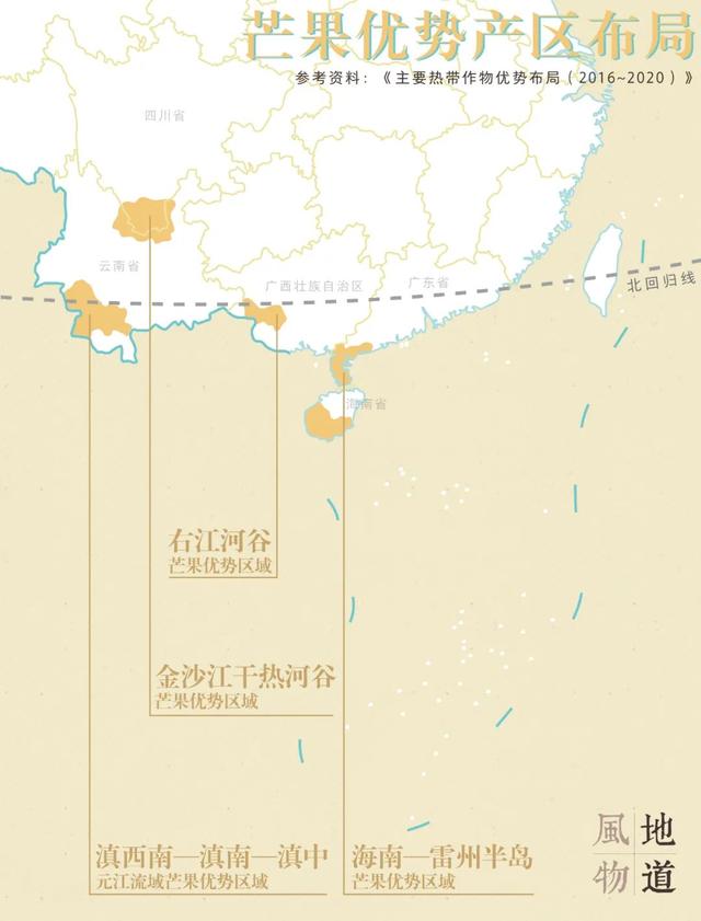 海南、广东、广西、云南、福建，中国到底哪里的芒果最好吃？