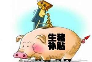 养殖业补贴(解读2024年中国生猪补贴政策：助力养殖业稳健发展的关键)