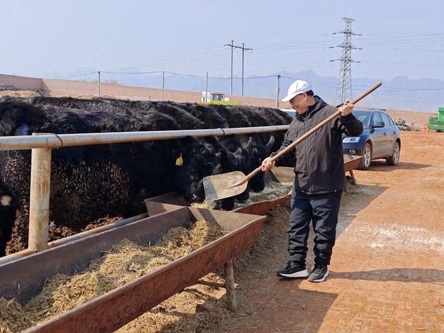 科技兴农在路上，保定易县的养殖场里来了北京专家