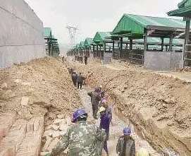 铜川市养殖项目(铜川市印台万头肉牛养殖基地火热建设中，建成年收入可达102亿元)