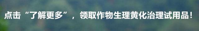 种植果树最好防治病虫害的办法是什么？怎么样做才是高效安全的？