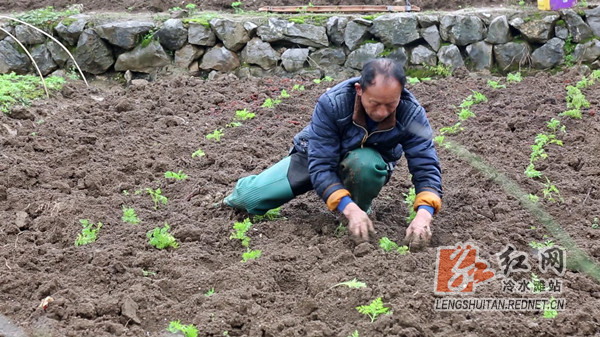 冷水滩：以产业发展为轴 拓宽脱贫致富路