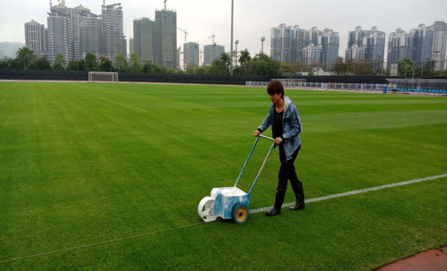 全流程详解：天然草的种植方法