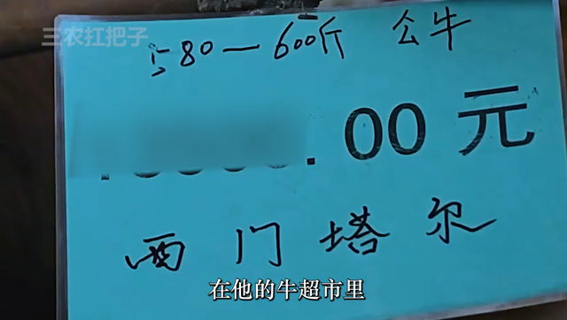 退伍军人返乡养牛，通过一系列养殖妙招，年销售额高达9000多万元