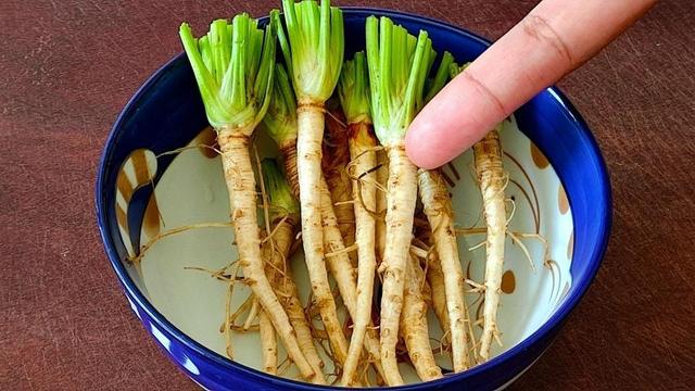 吃剩的青菜根，埋进花盆里，浇点水，冒出小菜园，半年摘不完