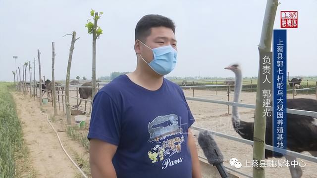 上蔡小岳寺：鸵鸟养殖“驼”起乡村致富梦