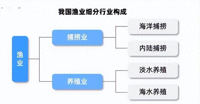 水产养殖行业发展现状及未来趋势分析