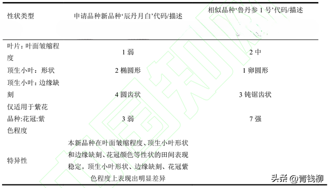 鼠尾草属新品种‘辰丹月白’栽培技术要点