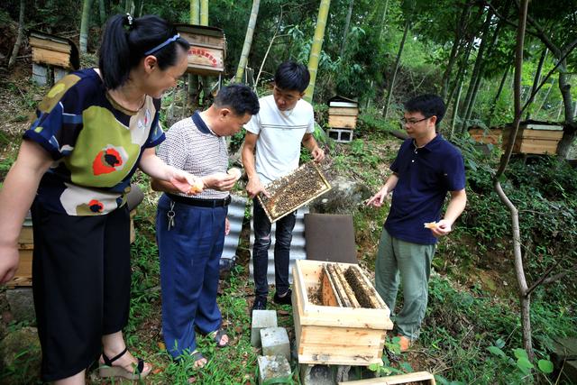 福建省邵武市：野熊家庭农场积极创建蜜蜂养殖标准示范场