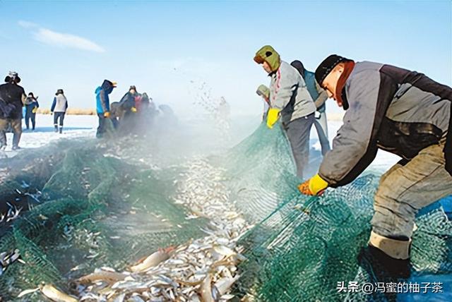 浙江渔业目前存在的资源过剩与管理问题，专家：这亟待解决