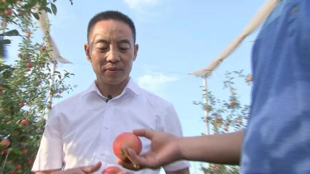 袁隆平、褚时健、李登海……我们心目中的种植匠