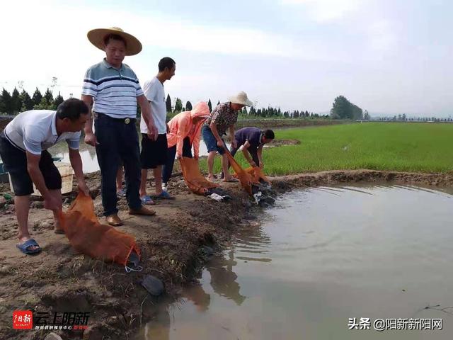 李相珊依托水产养殖技术推广解锁“致富密码”