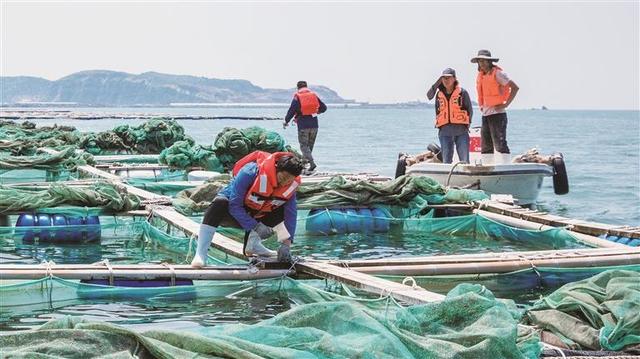 长兴岛清理违法养殖设施 19500余亩海域恢复原貌