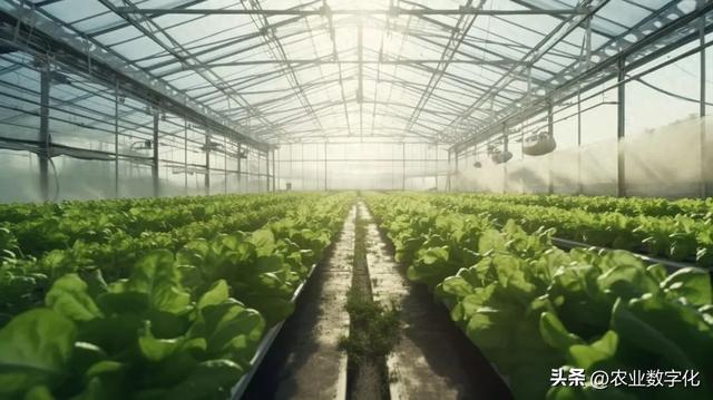 现代设施种植建设专项实施方案