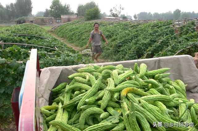 用em菌种植养殖增产又增收，正确使用方法你会吗？一次全教会