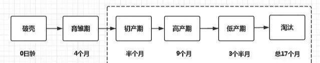 蛋鸡的生长周期是多少?