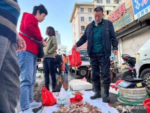 鼓眼鱼可以养殖吗(鼓眼鱼35，红头鱼7块，国庆假期青岛码头海鲜肥美价廉，居家必备)