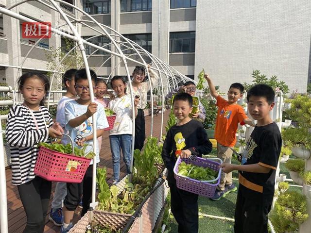 校园闲置空地变成智能生态种植园，“智慧课堂”激发学生劳动兴趣