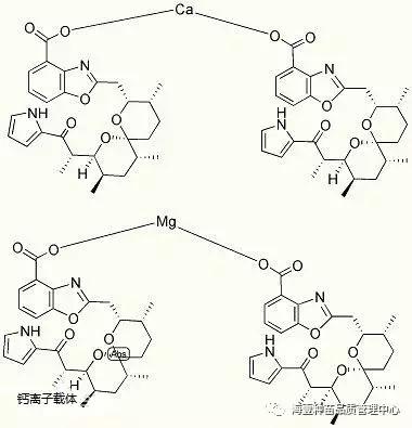 对虾养殖水体中钙镁离子的重要性