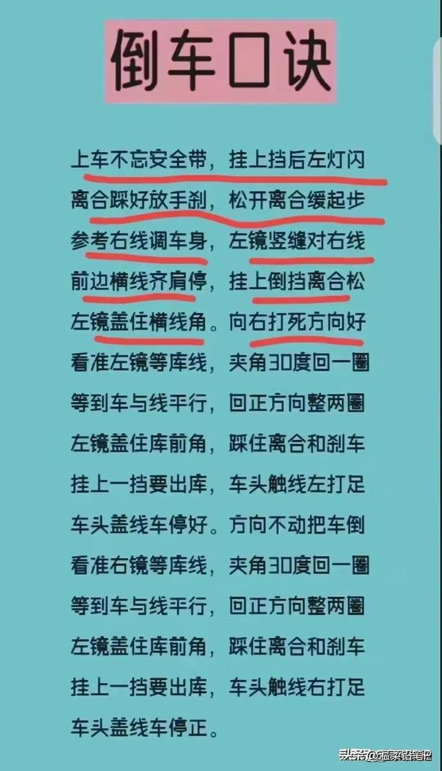 动物的寿命时间排行榜，终于有人整理好了，看完长知识了。