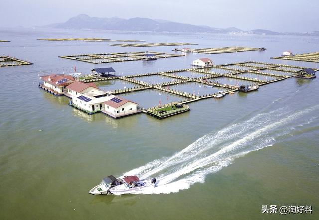 中国十大饲养基地！中国最大的养殖场在哪？（蛋鸡、水产、畜牧）