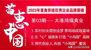 天津蛋鸡养殖场(【苗惠中国】两代人的传承：20年只做一件事，让百姓吃上优质放心蛋——访天津市滨海新区