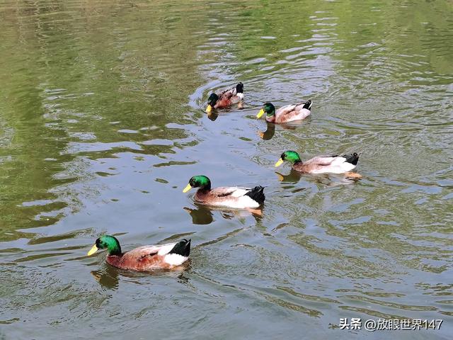 农民种地到底挣钱还是不挣钱?