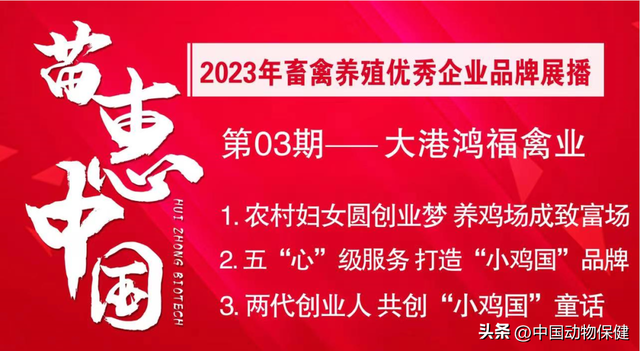 【苗惠中国】两代人的传承：20年只做一件事，让百姓吃上优质放心蛋——访天津市滨海新区大港鸿福禽业