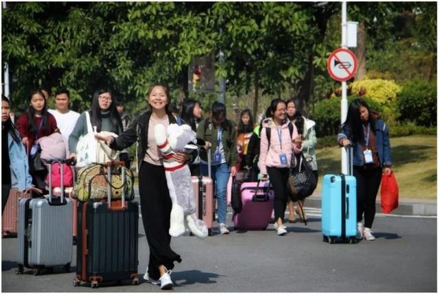 从“空心村”到度假胜地，房企大佬再造乡村振兴新样本