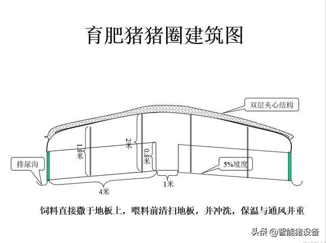 「管理」200头能繁母猪养猪场的总体设计规划方案