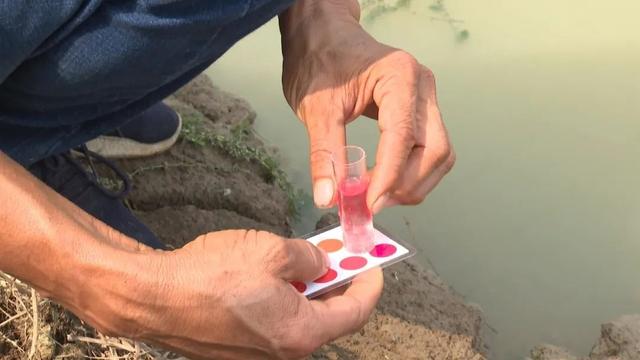 高要：“水产医院”开到家门口 鱼虾养殖有保障