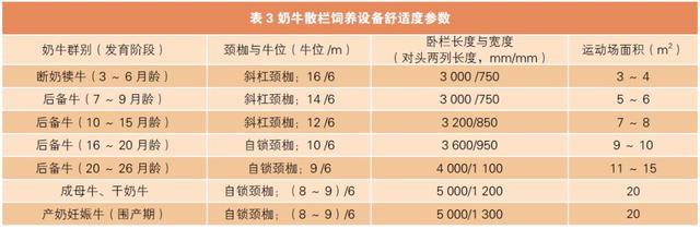 如何建造一个舒适的奶牛养殖场？