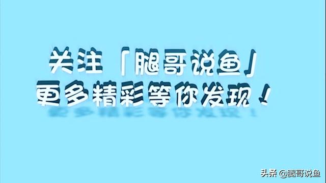 原来如梦如幻的紫光精灵饲养不难！腿哥4点教会你如何饲养和发色