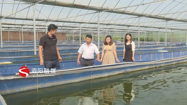 水蛭养殖敲开致富门小伙年入500万