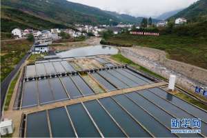 重庆冷水鱼养殖基地(重庆丰都：一条冷水鱼“游”出一条乡村振兴路)