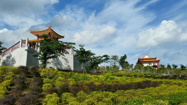 植物宝地 城市氧吧 仙游红木生态园风景独好