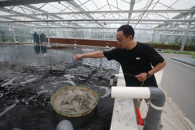 浙江“高山海鲜”上市！池塘到餐桌最快1小时，味道有啥不同？