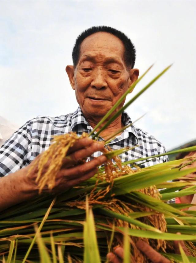 袁隆平：从富家少爷到插秧务农，忙碌一生，无愧于国却有愧于家