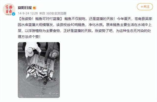 “一晚捕捞3000斤鱼”！密云水库开渔，水库里的鱼从哪里来的？