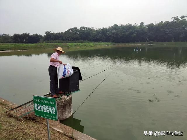 韶关第一个省级草鱼良种场——始兴县水产良种场