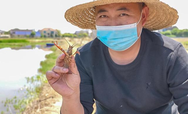 呷龙虾钓龙虾，长沙这个村很韵味