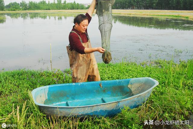 耗氧量是衡量溶解氧的重要指标，养殖户应该如何减少耗氧量？