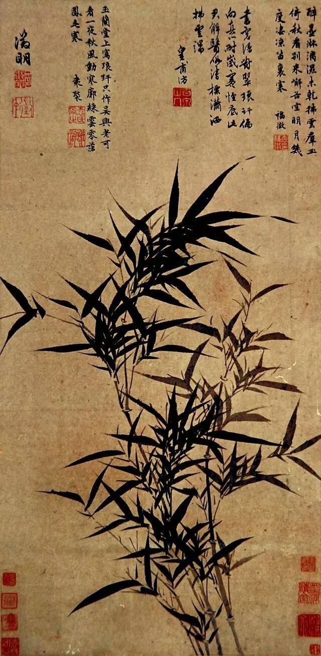 梅兰竹菊，浅析四君子植物的形态及文化内涵