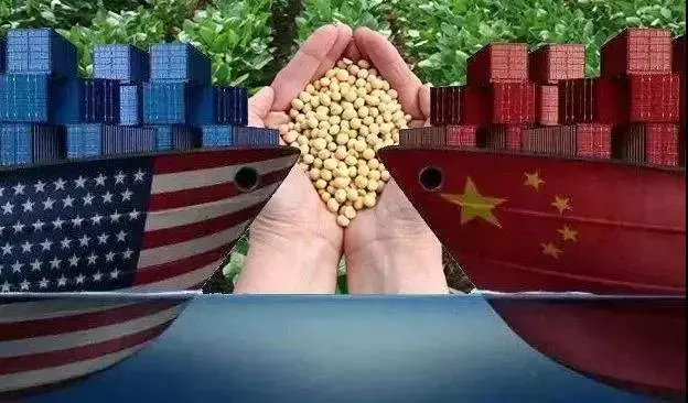 浅谈：进口粮食和标准化养殖，是如何“覆灭”中国小规模养殖户？