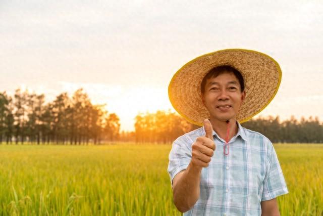 这样种大蒜，出苗快长势旺没病害，想不高产都难，赶快学学吧