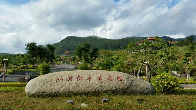 植物宝地 城市氧吧 仙游红木生态园风景独好