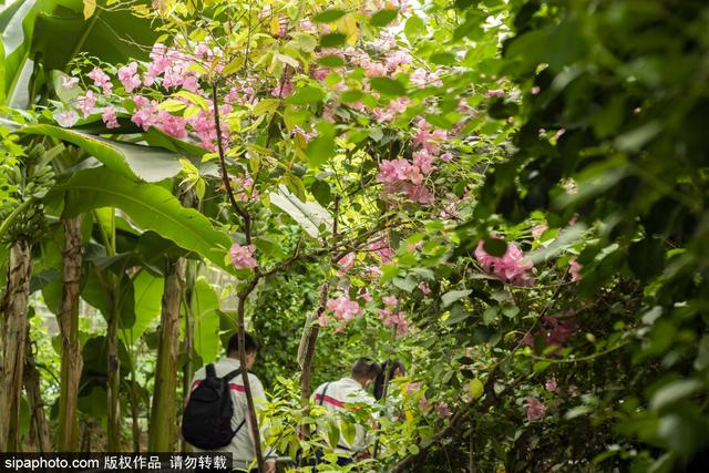 来北京这几家亲子农场，亲近大自然